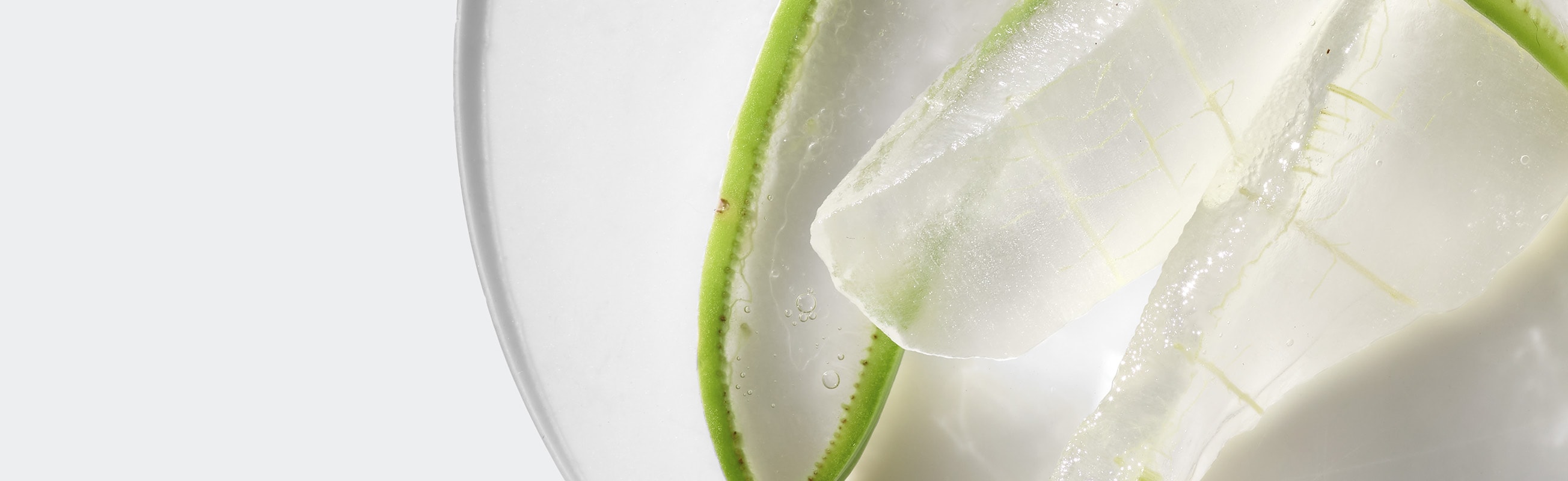 Activated Aloe Water